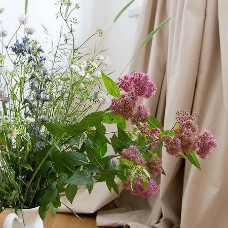 Bed & Breakfast Placzek