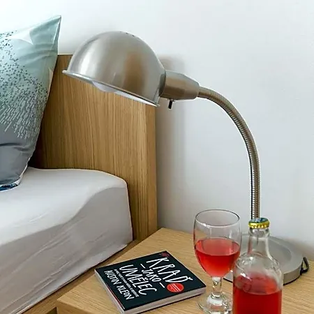 Placzek Bed and breakfast Brno