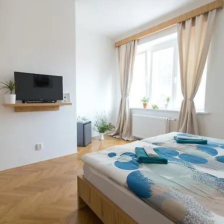 Placzek Brno